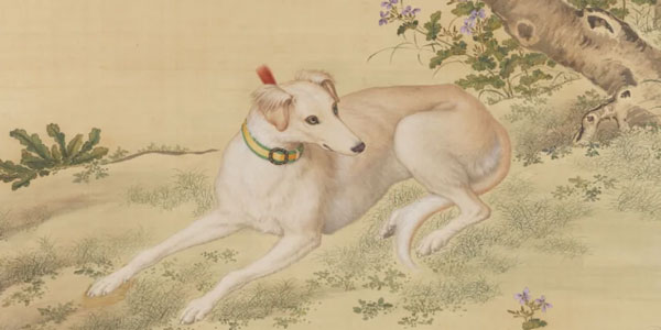 Did People in the Tang Dynasty Use Sighthounds for Hunting?